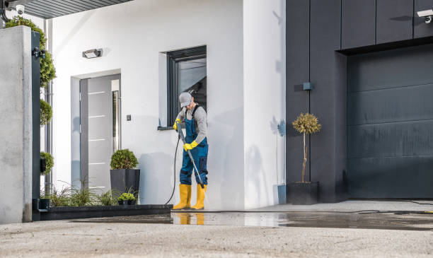 Best Soft Washing  in Hainesvle, IL